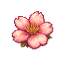 AshBlossom SMP