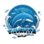 silvavita smp | server minecraft