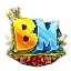 BharatMC Network