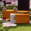 FoxyCraft - Foxy Friends Server