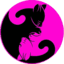 CatServer