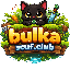 BulkaServer