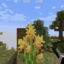 Intorke Land