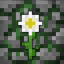 Neverbloom