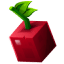 CherrySMP (US)