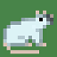 Rat Anarchy