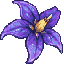NightshadeSMP