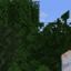 Server curvo