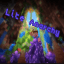 LiteAnarchy