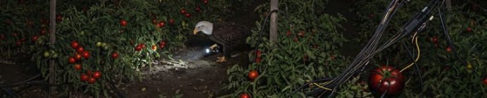 Иллюстрация к новости сервера Minecraft Eagles Creative